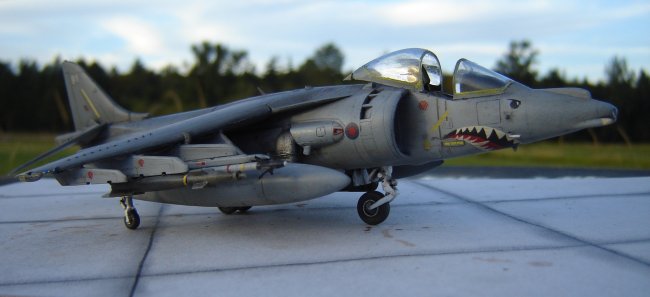 hasegawa harrier