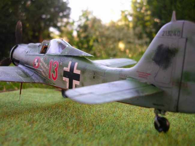 1 48 Tamiya Focke Wulf 190 D 9 Jv 44 Papageien Staffel By Stefan