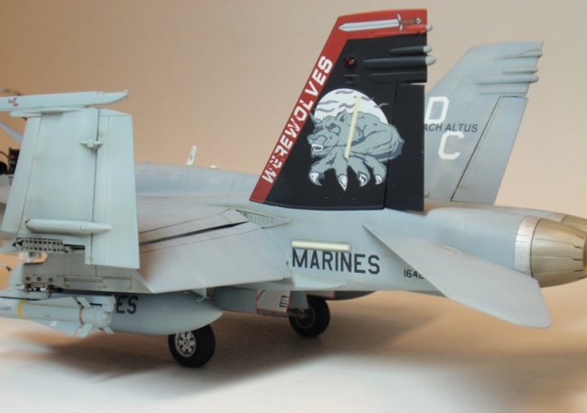 1/48 Hasegawa F/A-18C Hornet by Kelly Quirk